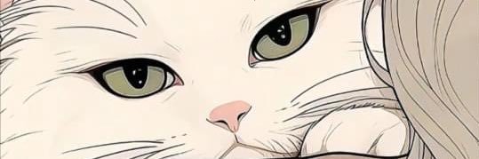 eobtneunde's profile banner image