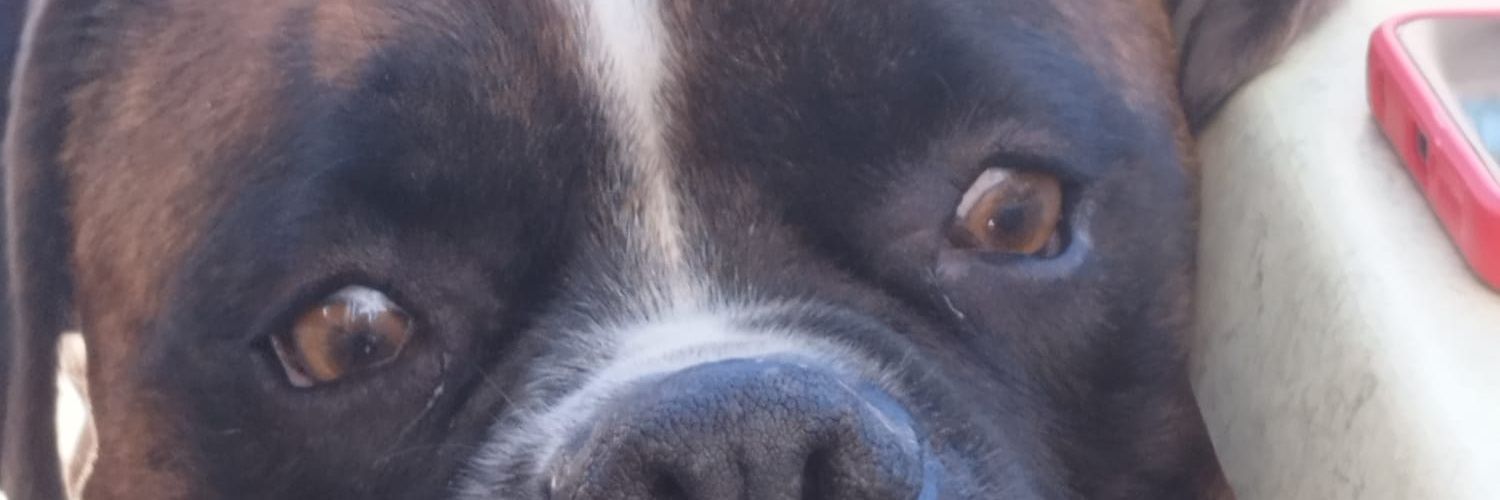 manuelosun's profile banner image