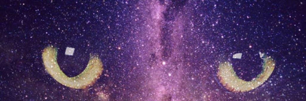 alyaniss's profile banner image