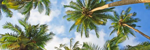 dewaldBuys Profile Banner