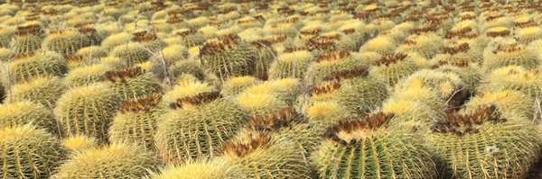 backermann1978 Profile Banner