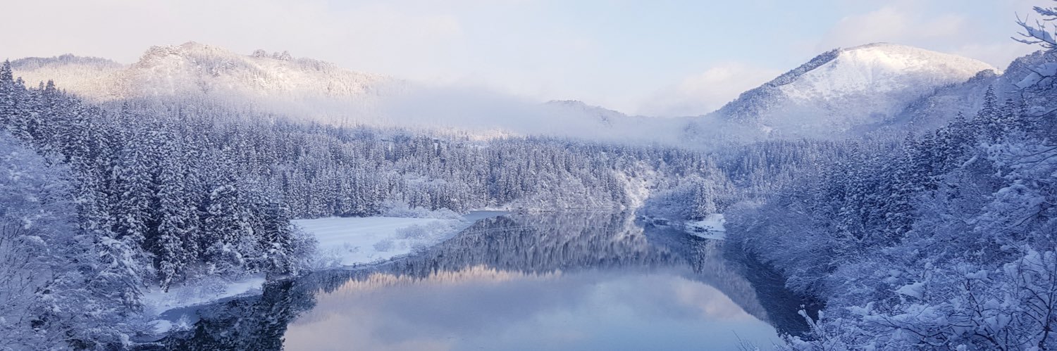 TENNIE IS YOUR LOVE banner