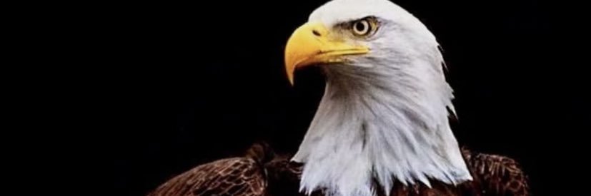 ASTahmiscioglu's profile banner image