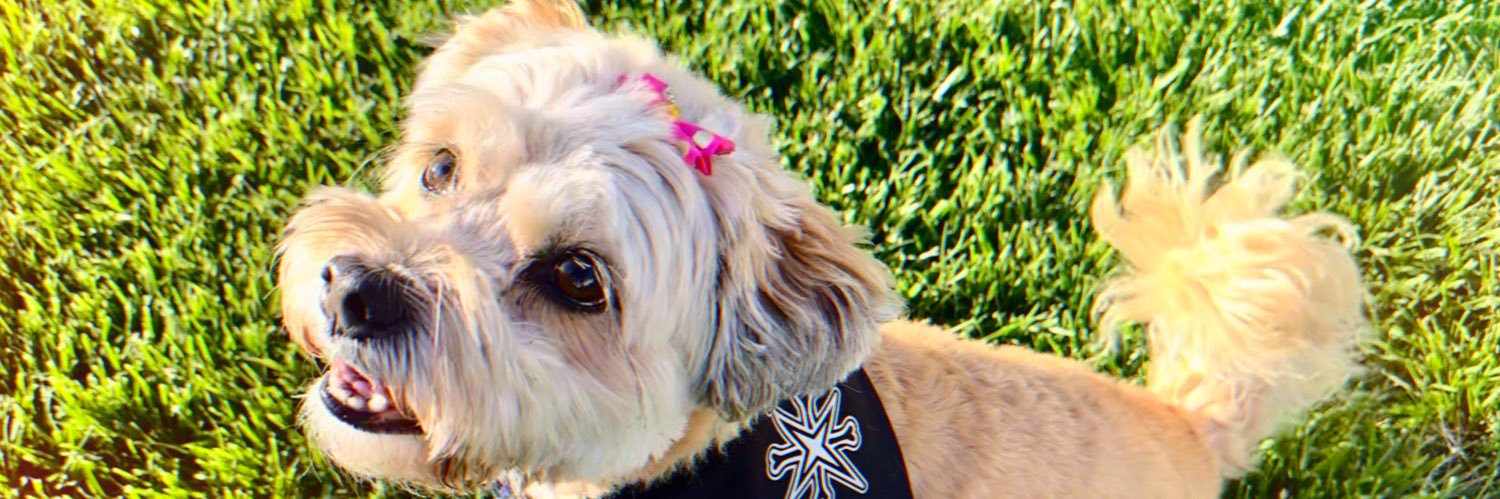 itsbrookielou's profile banner image