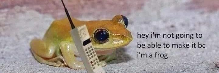 ItsSleepyBee's profile banner image