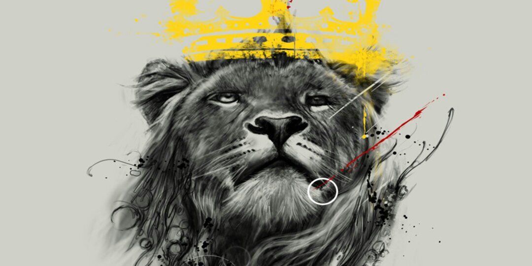 whoiselp's profile banner image