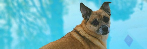 Stacyroach's profile banner image
