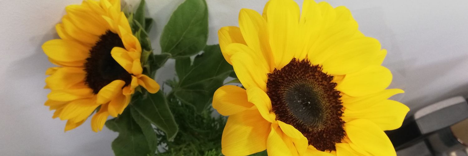 marischerbatsky's profile banner image