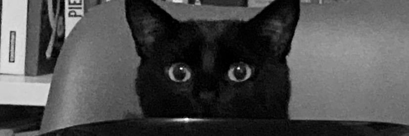 MtCamille's profile banner image