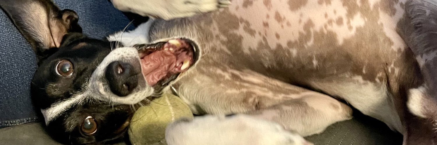 dwhigpt's profile banner image