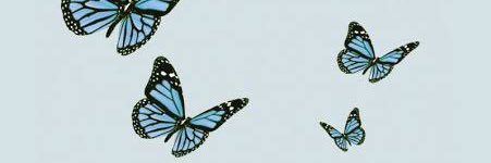 JuliaaMariaa97's profile banner image