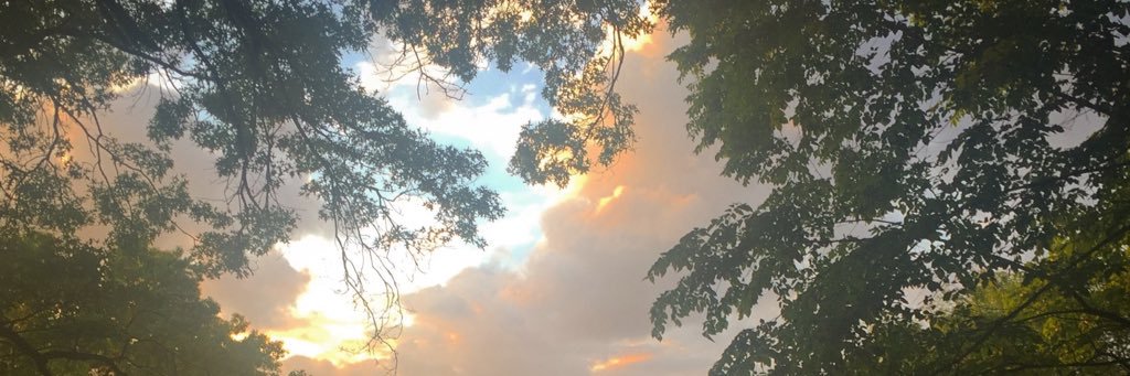 JanStanley's profile banner image