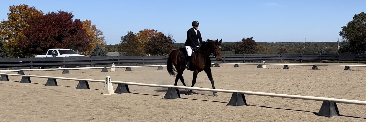 alison (they/them) banner