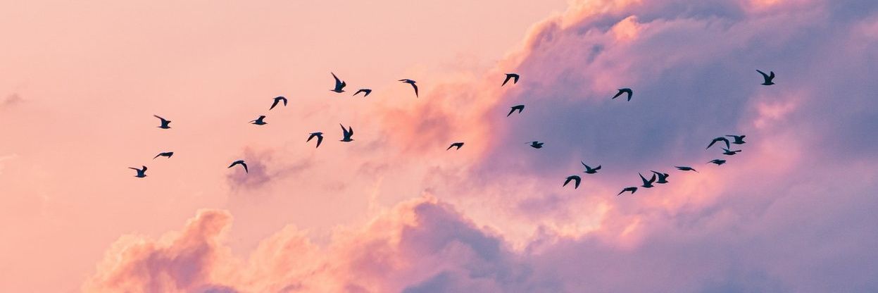 SIVXIX's profile banner image