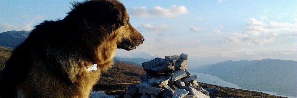 keswickbootco's profile banner image