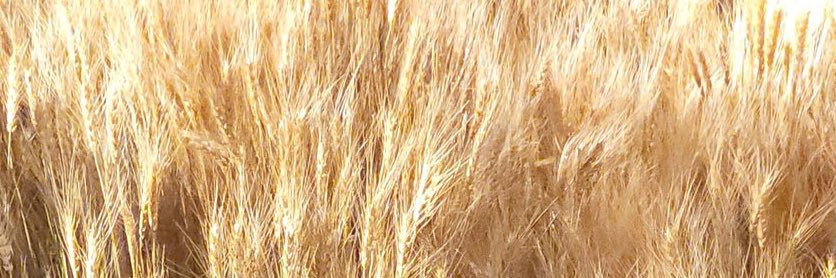 naom17's profile banner image