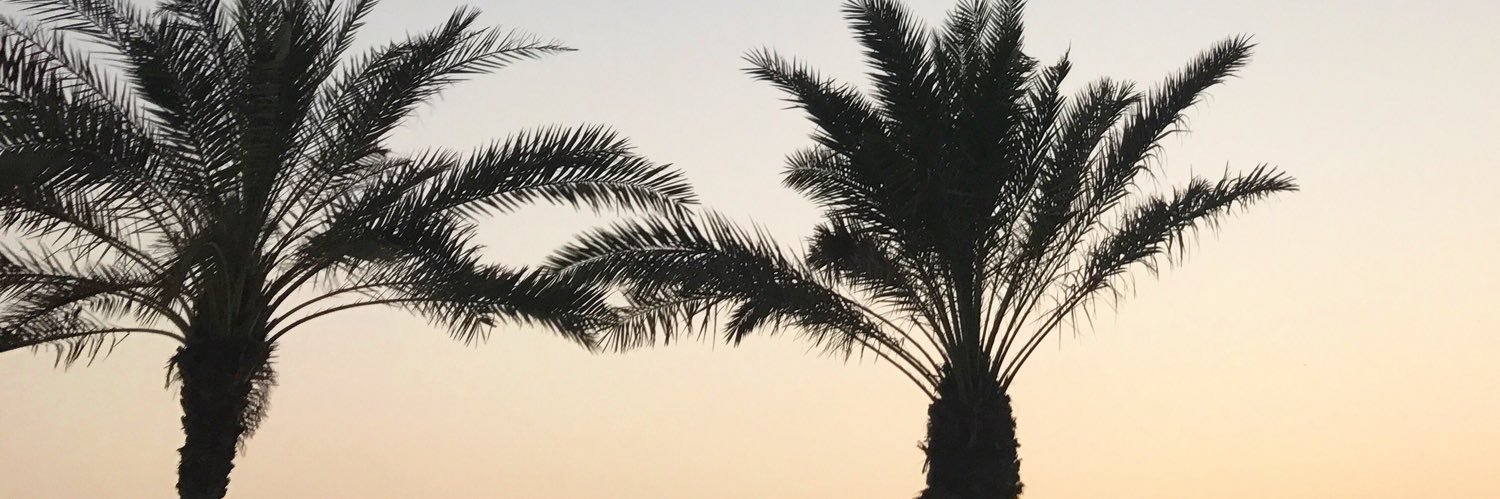 clarihayman's profile banner image