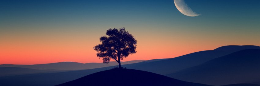 Crypto Curiosity banner
