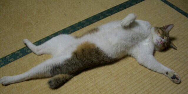 hide_otoko's profile banner image