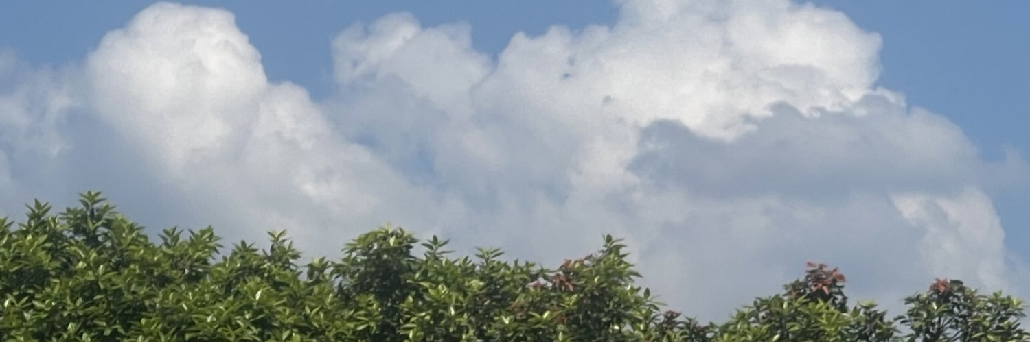 Hasan_309's profile banner image