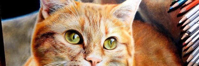 punrapp's profile banner image