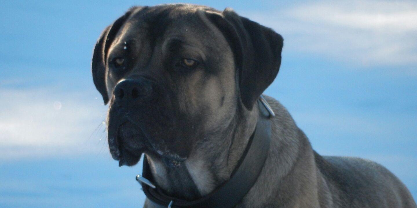 kailaurs's profile banner image