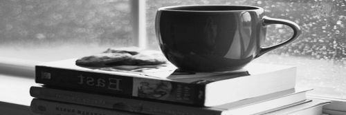 Lo que dice la bio. banner