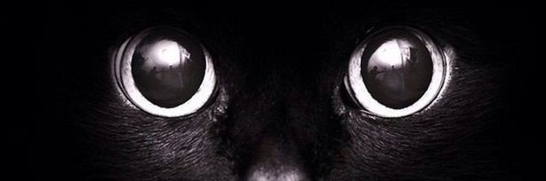 Roolivera5's profile banner image