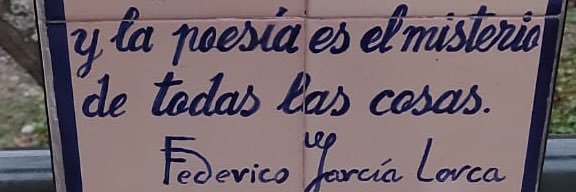 Miguel García banner