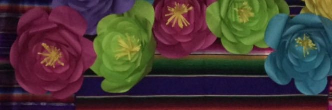 carlamatheus's profile banner image