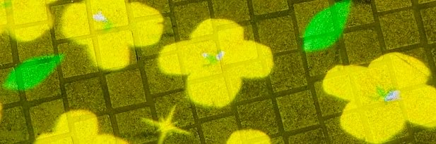 1022mitsue's profile banner image
