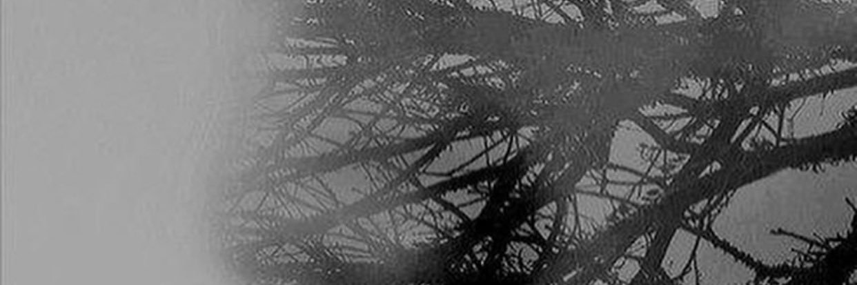 tooma8080's profile banner image