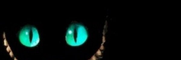 sarba6 Profile Banner