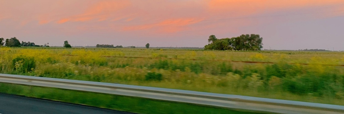 brisazug_'s profile banner image