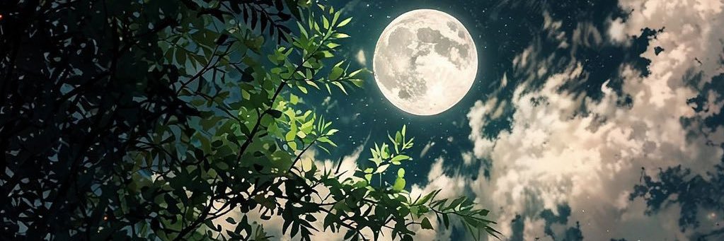 EnnS__'s profile banner image