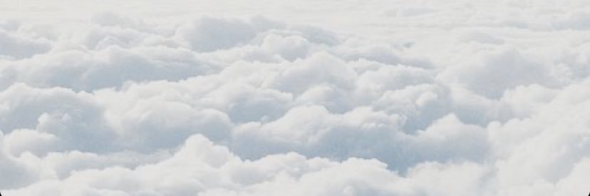 chasnicole_'s profile banner image