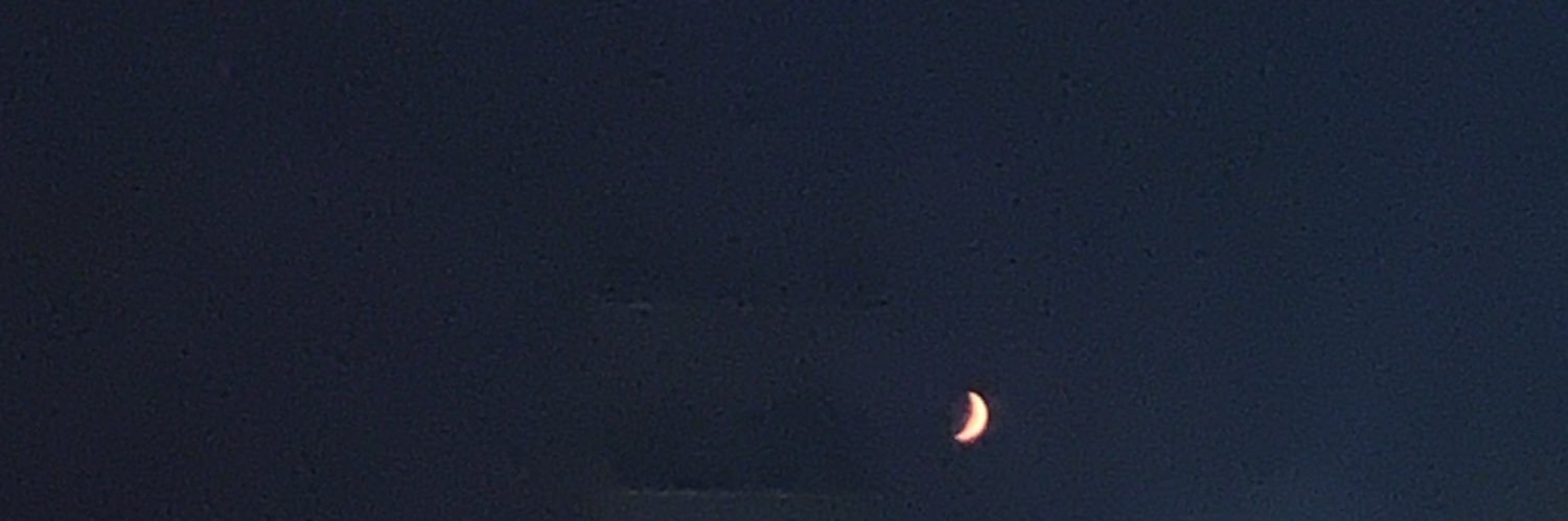 bailey_erin's profile banner image