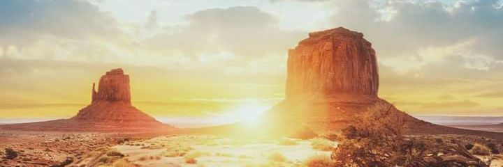 ola_teidi's profile banner image