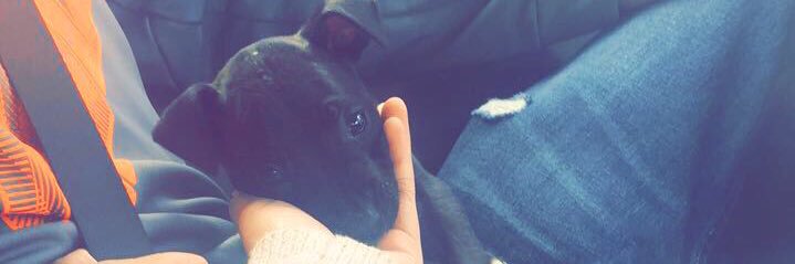 k_smalls_'s profile banner image