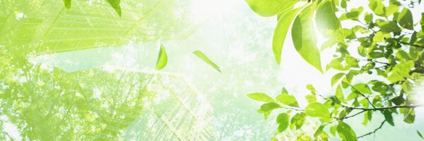 danielehorton Profile Banner