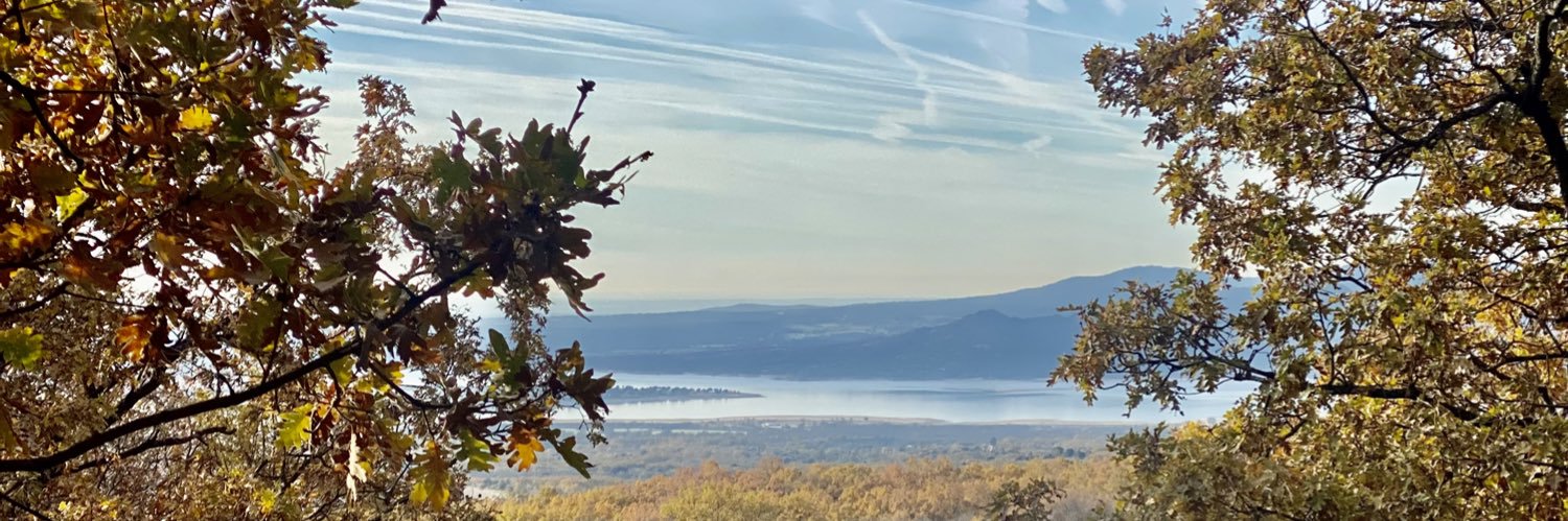 AlonsoIsildur77's profile banner image