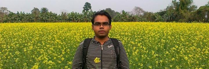 DipamBiswas's profile banner image