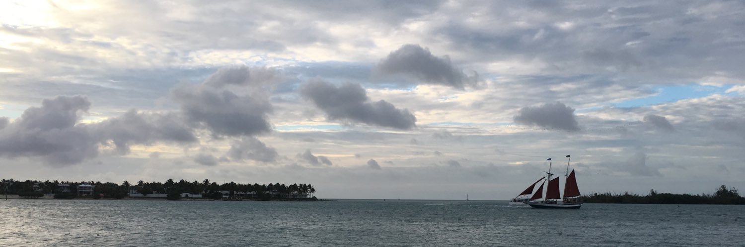 FishfroOcean's profile banner image