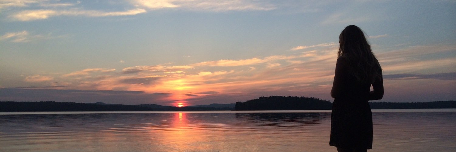 msundvall's profile banner image