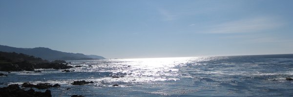 prikoo Profile Banner