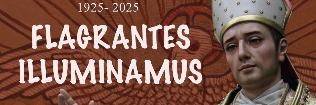 S. Menor de Toledo banner