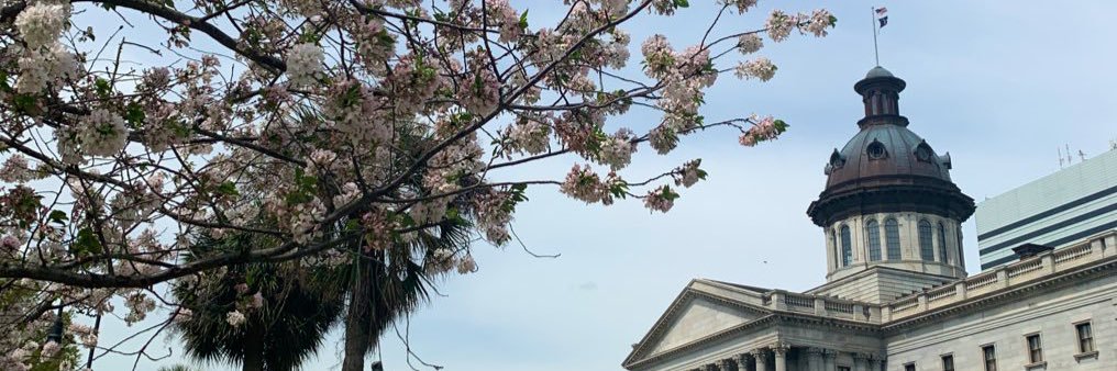 Felicity Ropp banner