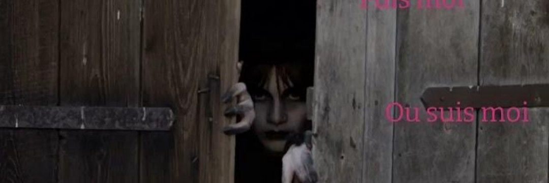 dannasinger's profile banner image