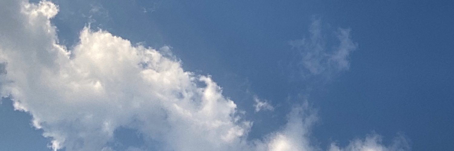 calzabbra's profile banner image