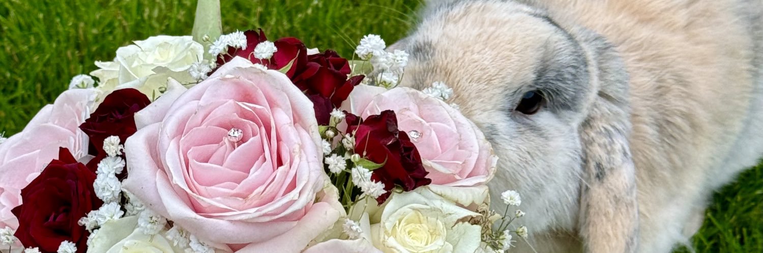 LianneWlf's profile banner image
